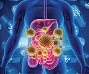 Stomach and gut microbiome being supported through lactobacillus