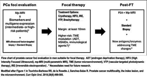 Flow chart of prostate cancer foci evaluation