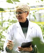 Researcher in greenhouse tending to plants for chlorophyll