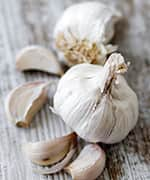 Garlic bulb that compounds show strong antibacterial activity