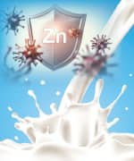 Zinc symbol on shield that support immune function