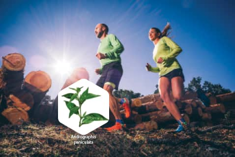 Man and woman jogging in dirt near downed lumber