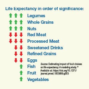 Info graphic of 'Life Expectancy in order of Significance'