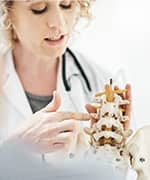 Doctor explaining to patient using pelvic bone model on bone health