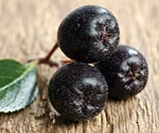 Three aronia berries that combined with l-arginine boost nitric oxide