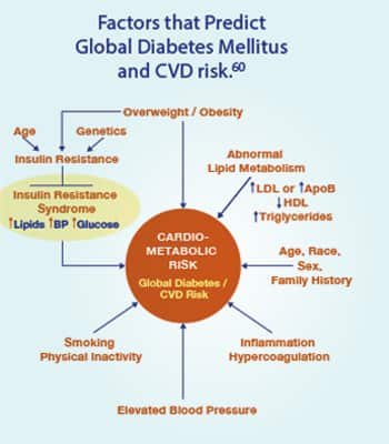 Informative Illustration of Factors that Predict Global Diabetes Mellitus and CVD risk